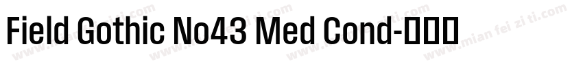 Field Gothic No43 Med Cond字体转换
